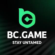 Expert Tips to Maximize Your Experience on BC.Game