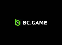 Exploring BC.Game IN Payment Options for Seamless Transactions