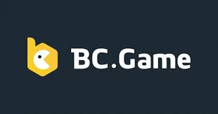Exploring BC.Game IN Payment Options for Seamless Transactions
